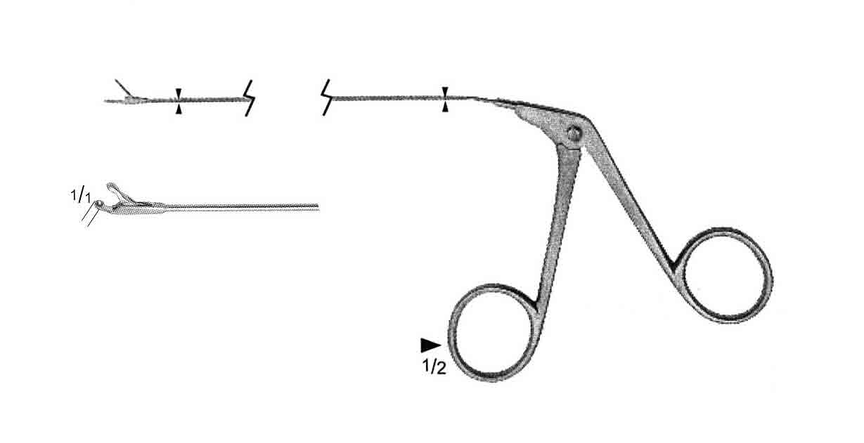 MİKRO LARİNGOLOJİ YUVARLAK KAP FORSEPS SAĞ 230MM